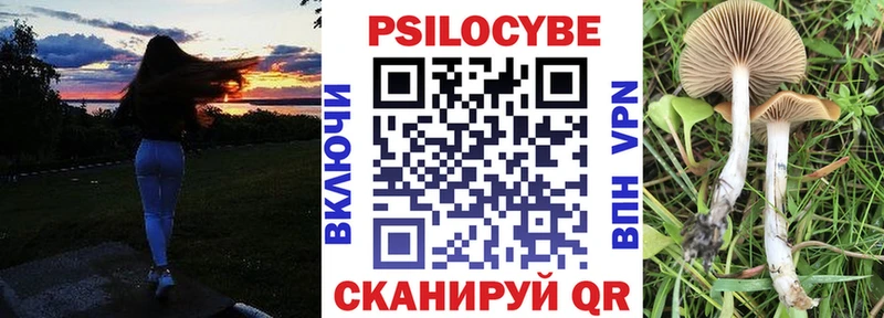 как найти наркотики  Карталы  Псилоцибиновые грибы мицелий 